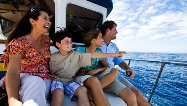 Papakea F208 - Foto 2, Miscelánea