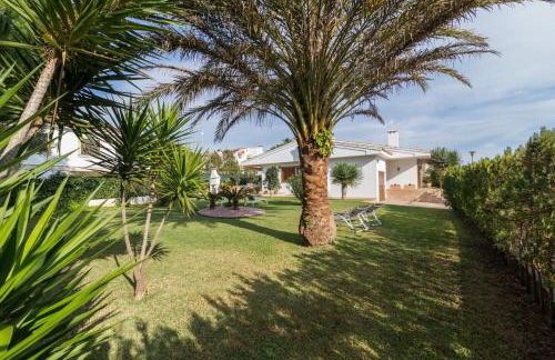 Margarita Pins - Foto 12