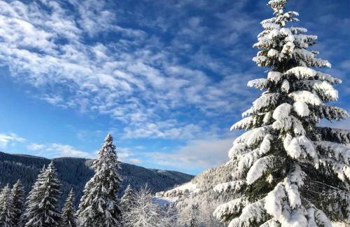 CASA MIFEL -- APP. GERANIO - Foto 36