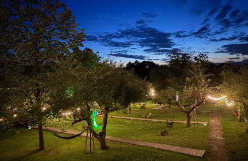 Na Skraju Lasu Domek na Drzewie & Glamping - Foto 72