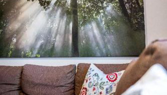 Ferienhaus Waldhaus - Foto 4