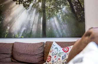 Ferienhaus Waldhaus - Foto 4