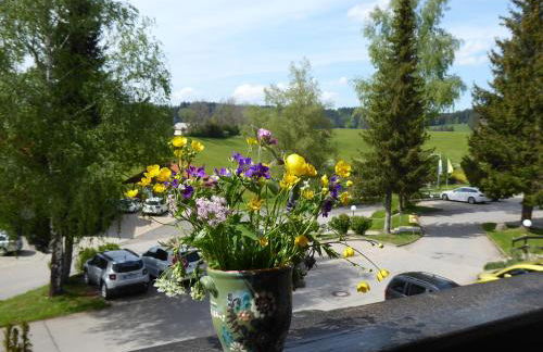 Ferienwohnung Am Kräutergarten - mit Pool, Sauna und Garage - Foto 11