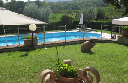 Agriturismo Consalvi - Foto 24