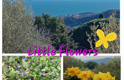 TraMonti e Mare, vista mare giardino, la casa che in ogni stagione si trasforma! - Foto 1