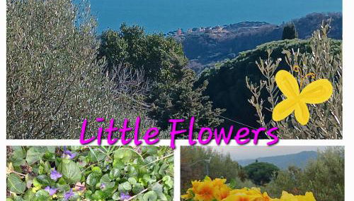 TraMonti e Mare, vista mare giardino, la casa che in ogni stagione si trasforma! - Foto 1