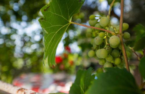 Borgo Case Lucidi relax - Foto 47