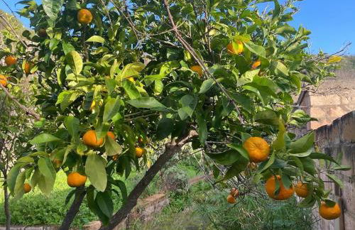 Villa with beautiful Private Garden & Breathtaking Sea View - Foto 45