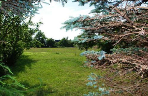 Fam Waack - Photo 15