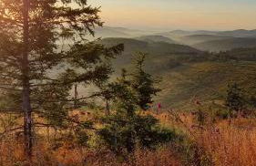 Ferienhaus Birkelbach - Foto 33