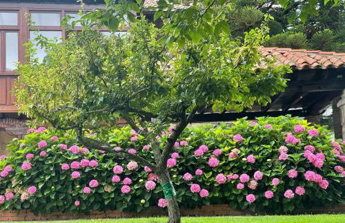 La Solana de Mogro - Foto 75