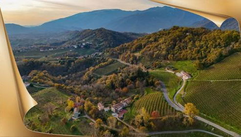 Agriturismo La Pina - Foto 2