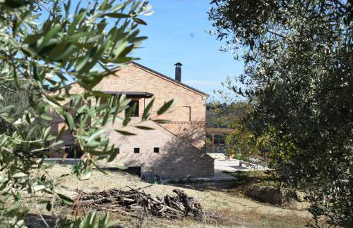 Monna Terra B&B - Foto 2