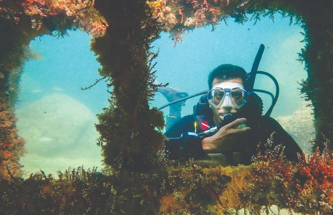 Immersione ai relitti di Ilhabela - Foto 3