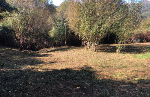 QUINTA do SOUTO BARCIADEMERA - Foto 62