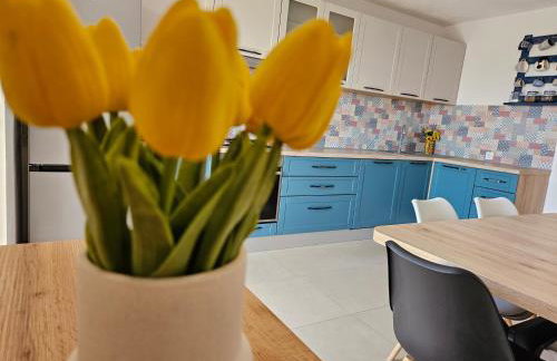 Sunflower Apartment - Photo 15