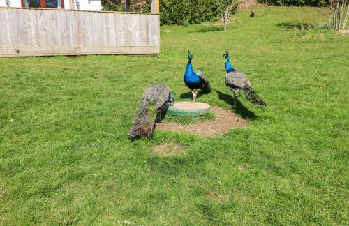 Coytrahen House - Foto 68