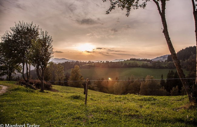 Ferienwohnung Am Sonnenweg - Photo 17