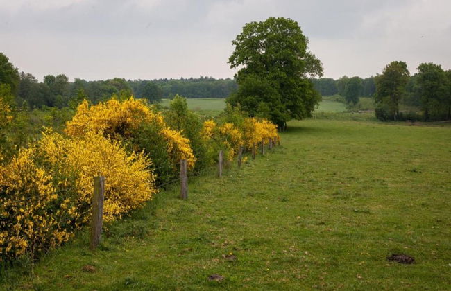 Chalet in Ootmarsum on Kuiperberg - Foto 29