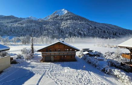 Demi-Chalet Vadel La Panthiaz 15 Pers 5 chambres - Foto 49