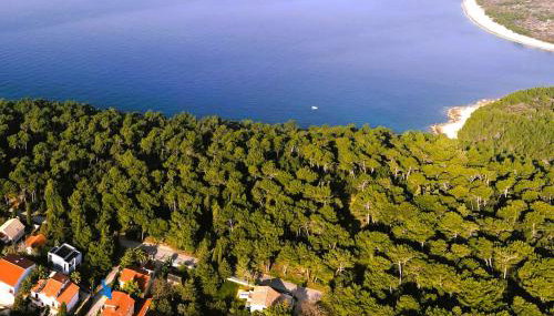 Apartmaji Valentina - Foto 1