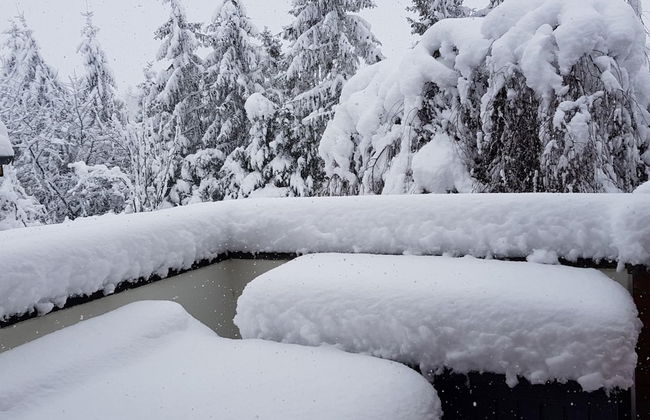 Wohnung bei Kuehlungsborn mit Garten - Foto 16