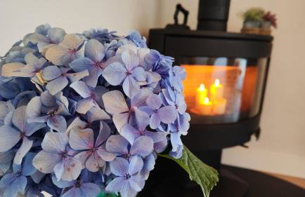 Reguero Gato Turismo Rural - Foto 40