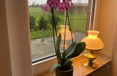 Meine Ferienwohnung - Foto 17