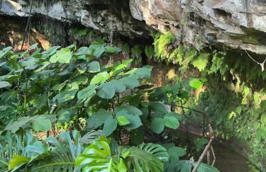 Casa Žerotín - Foto 41