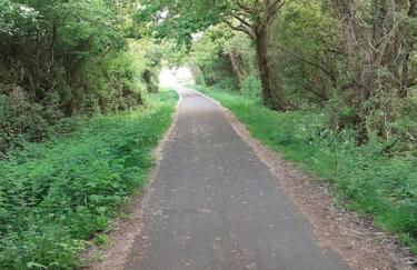 Entire house near beaches, footpaths, dog friendly - Foto 25