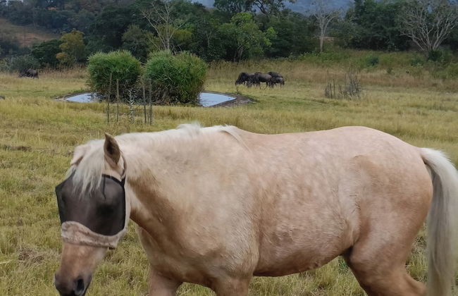 AtNature Luxury Self Catering Cottages - Photo 25