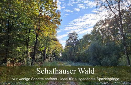 Wald und Waterkant - Foto 33