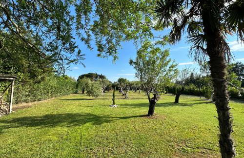 Sea front Villa Myrat - Foto 44