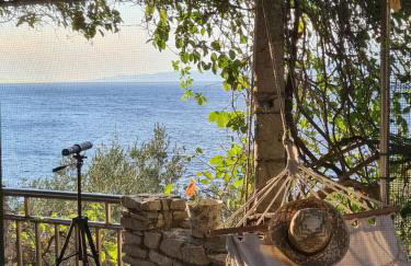 Koki eco house - Photo 18