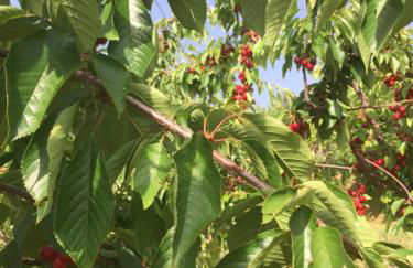 Quinta BEMBOA Turismo Espaço Rural - Foto 64