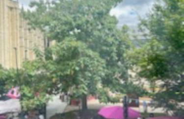 magnifique appartement basilique de saint Denis - Foto 25