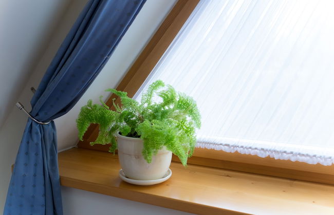 Bellamonte Aparthotel - Foto 68