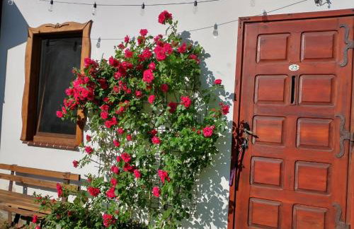 Wigierska Chatka - Foto 18