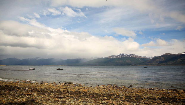 Paseo en yate por el Canal Beagle + Trekking por isla Bridges - Foto 4