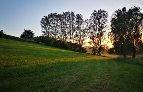 Schrauts Unwesen - Photo 53