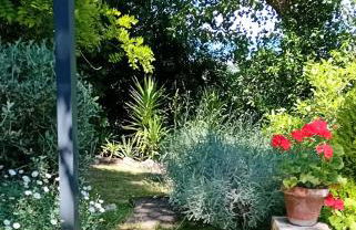 I Gelsi di Colombata Locazione turistica breve in campagna - Foto 35