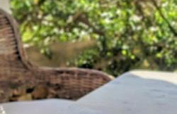 Hidden Gem with Sunset in the Aegean Sea, Two Traditional Homes in Ano Vathy, Samos - Foto 25