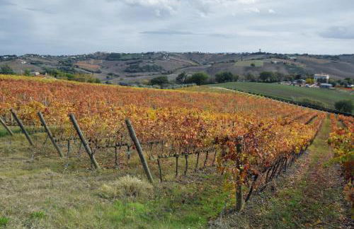 Agriturismo Al Rifugio DiVino - Foto 60