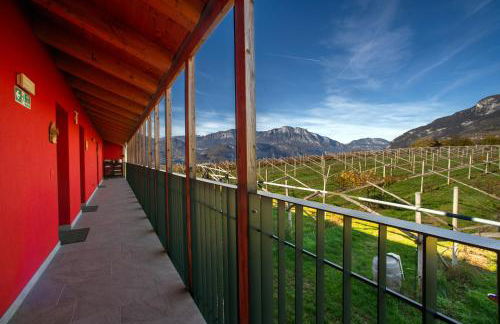 8 Grappoli Agritur - Foto 57