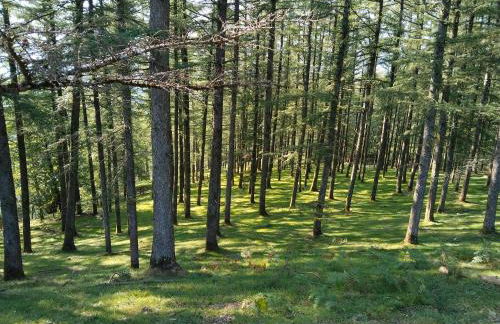 Gure Idorpea - Foto 42