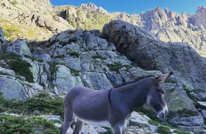 VILLA LE CORAIL ROUGE CORSE - Foto 26