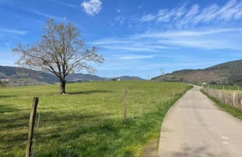 Ven y disfruta en el corazón de Bizkaia-Urdaibai LBI00509 - Foto 53