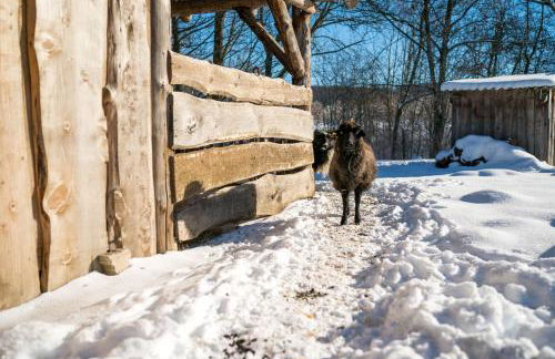 Ferienhof Homann Sauerland - Foto 61