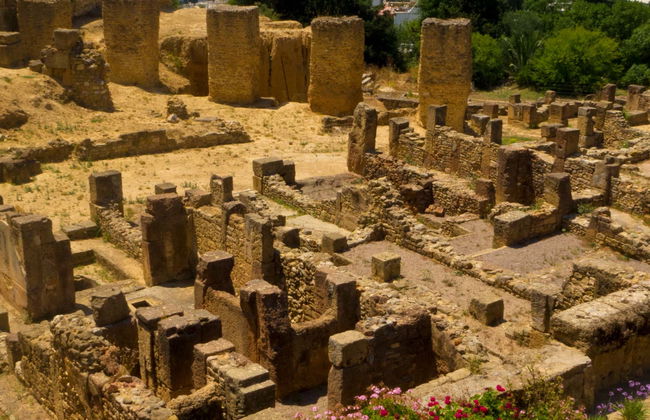 Tour por Túnez, Cartago y Sidi Bou Said para cruceros - Foto 6