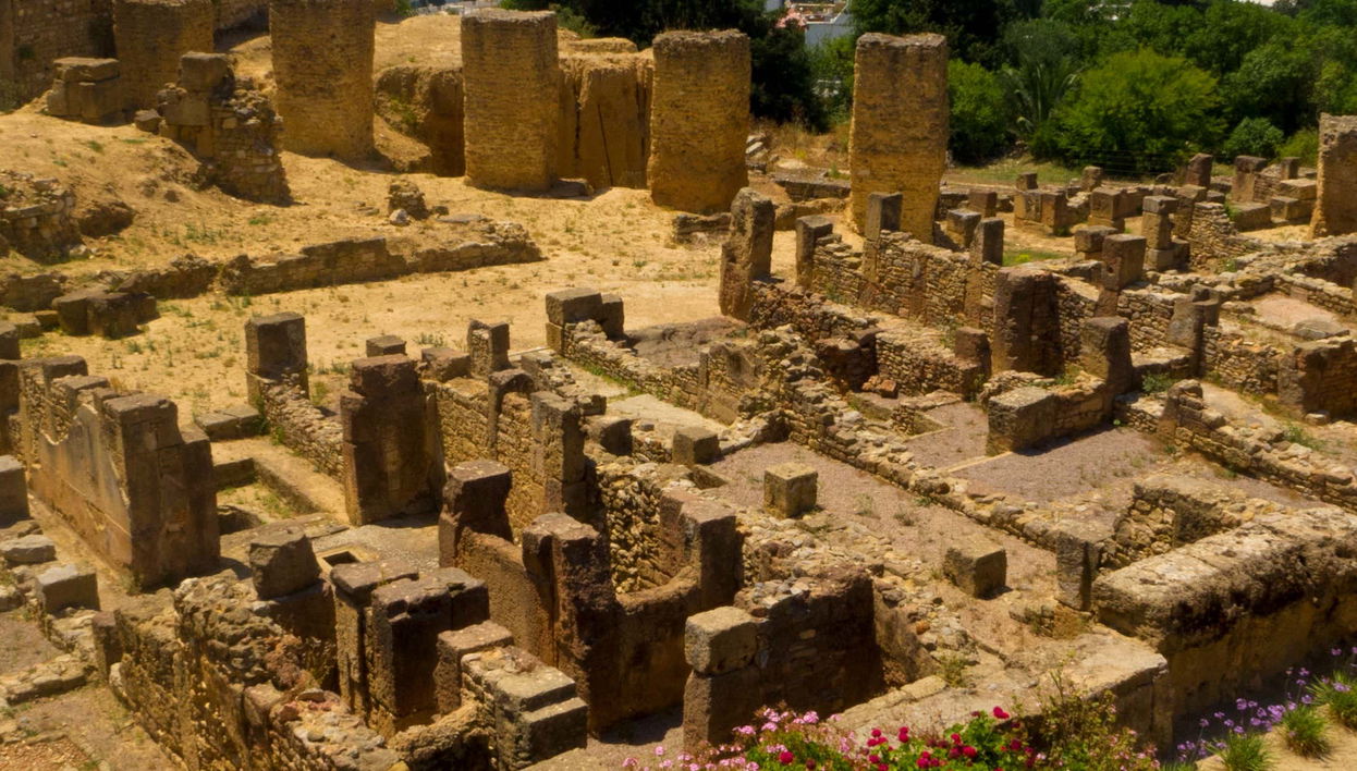 Visite de Tunis, Carthage et Sidi Bou Saïd pour croisiéristes